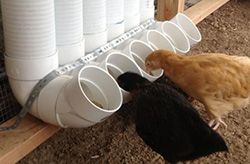 Обязательное условие в кормлении птицы: в помещении или клетке, где содержится птица, постоянно должна быть поилка с чистой водой