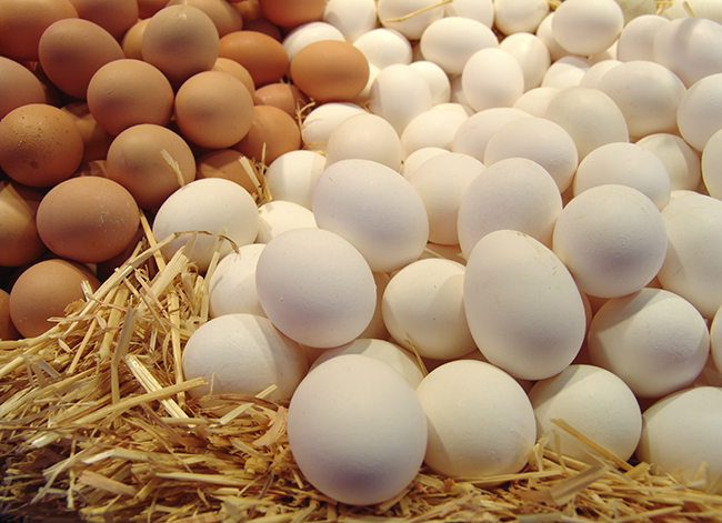 О первой в 2016 году партии яйца куриного отправленного в Монголию