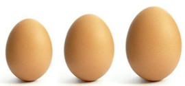 если вы съедаете одно куриное яйцо в день, то восполняете 14 или 12% дневной нормы белка